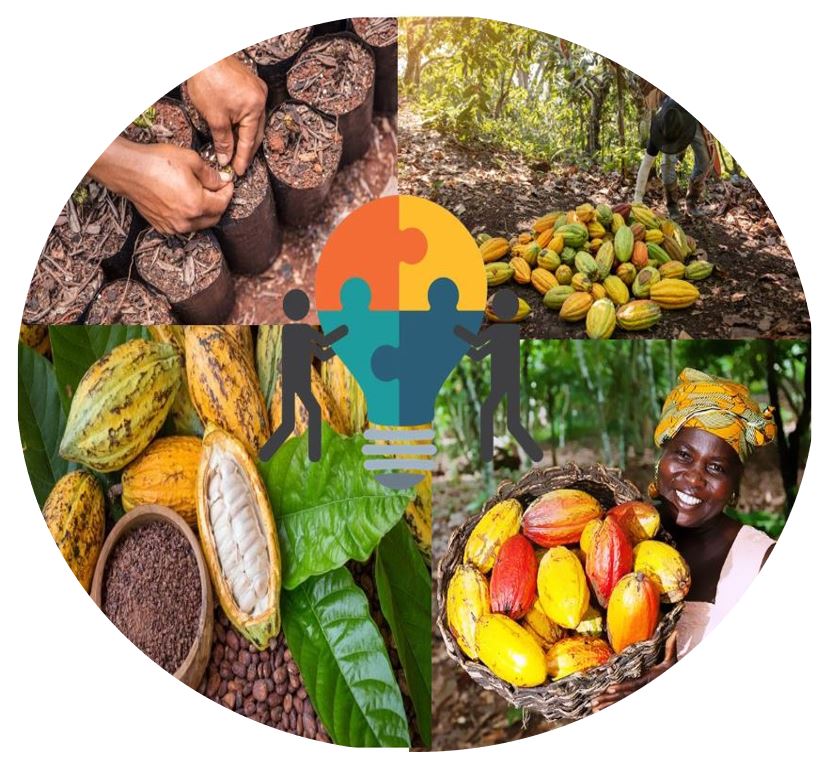 Brève présentation de UPAS COOP CA