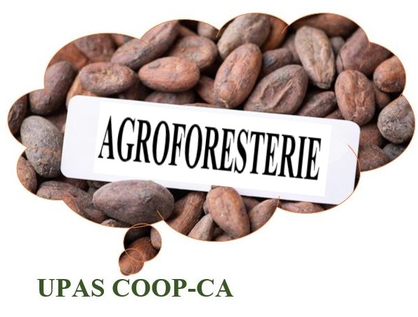 Vision de UPAS COOP CA.